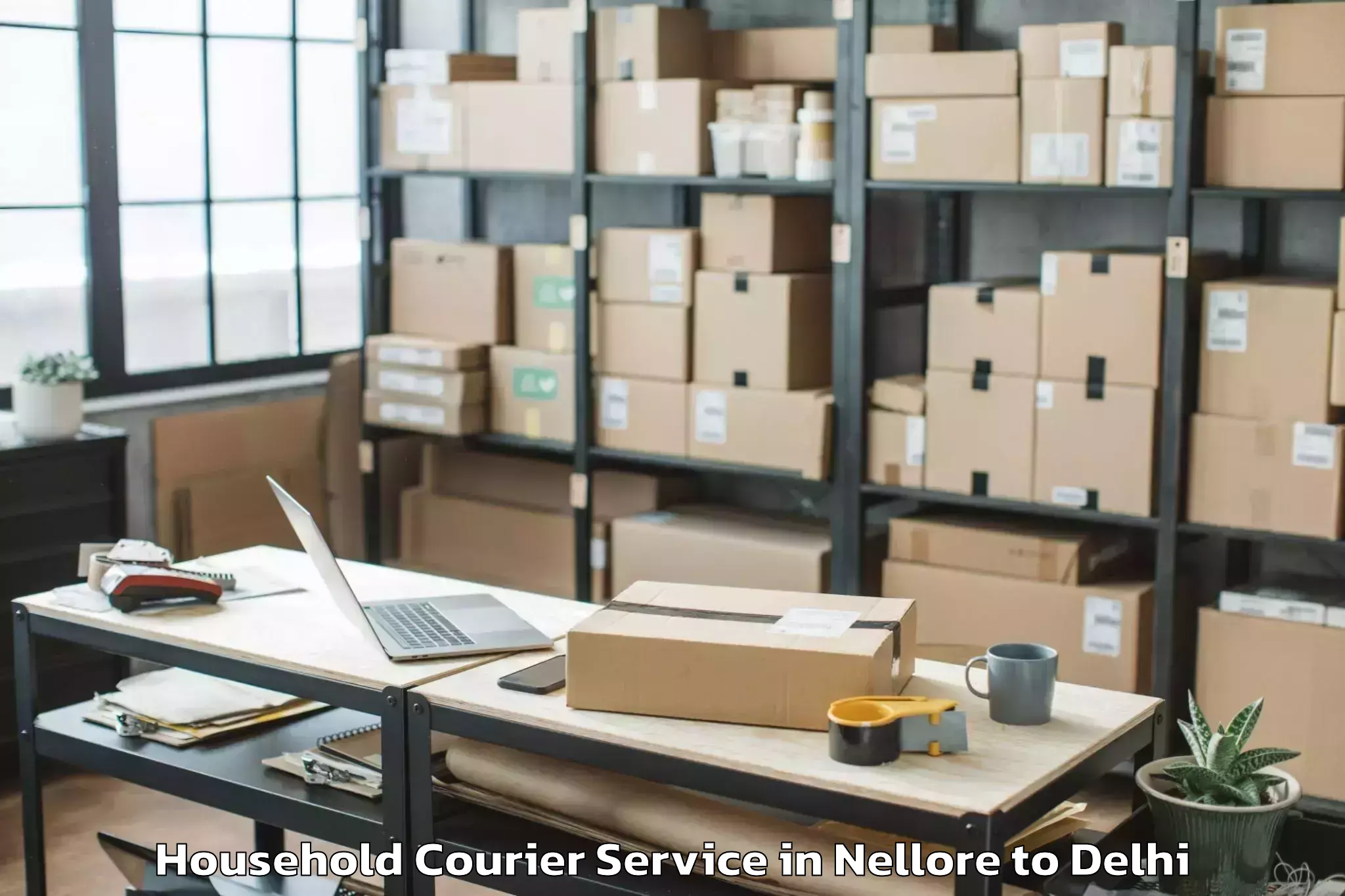 Easy Nellore to D Mall Rohini Household Courier Booking